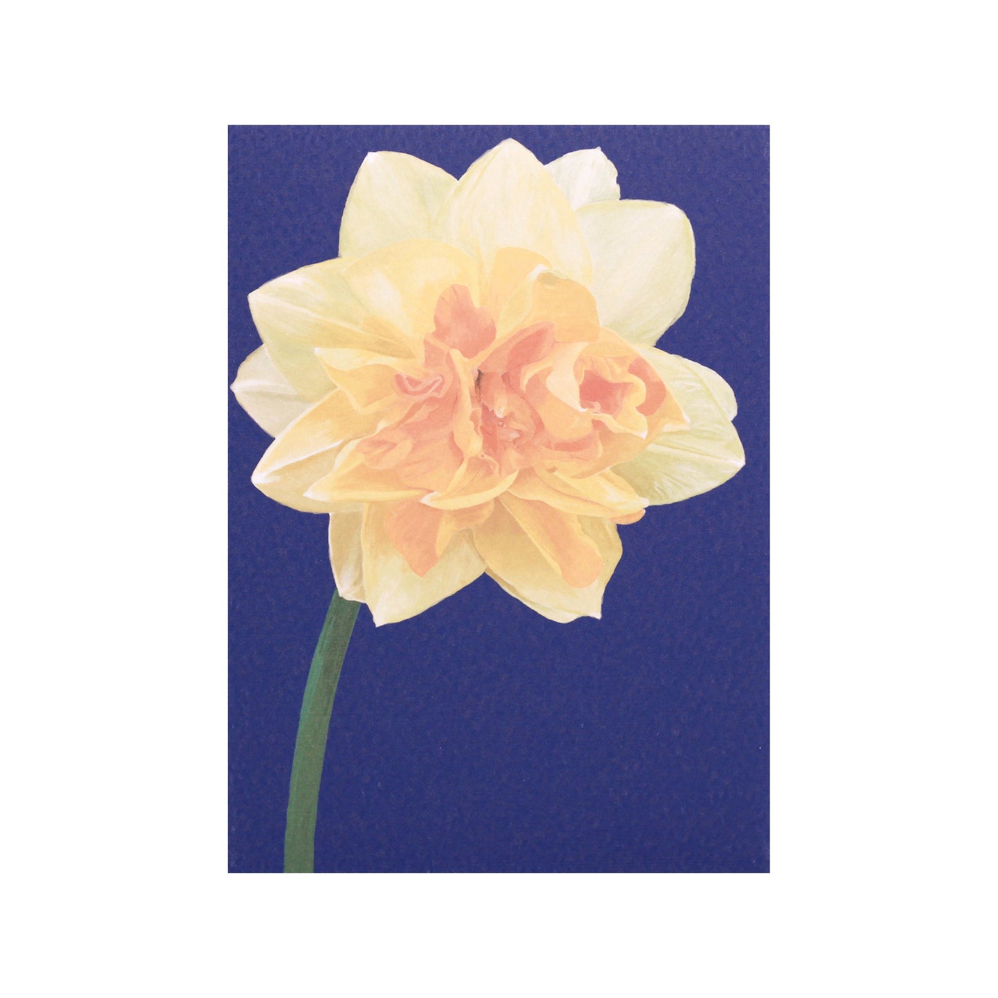 Daffodil Card
