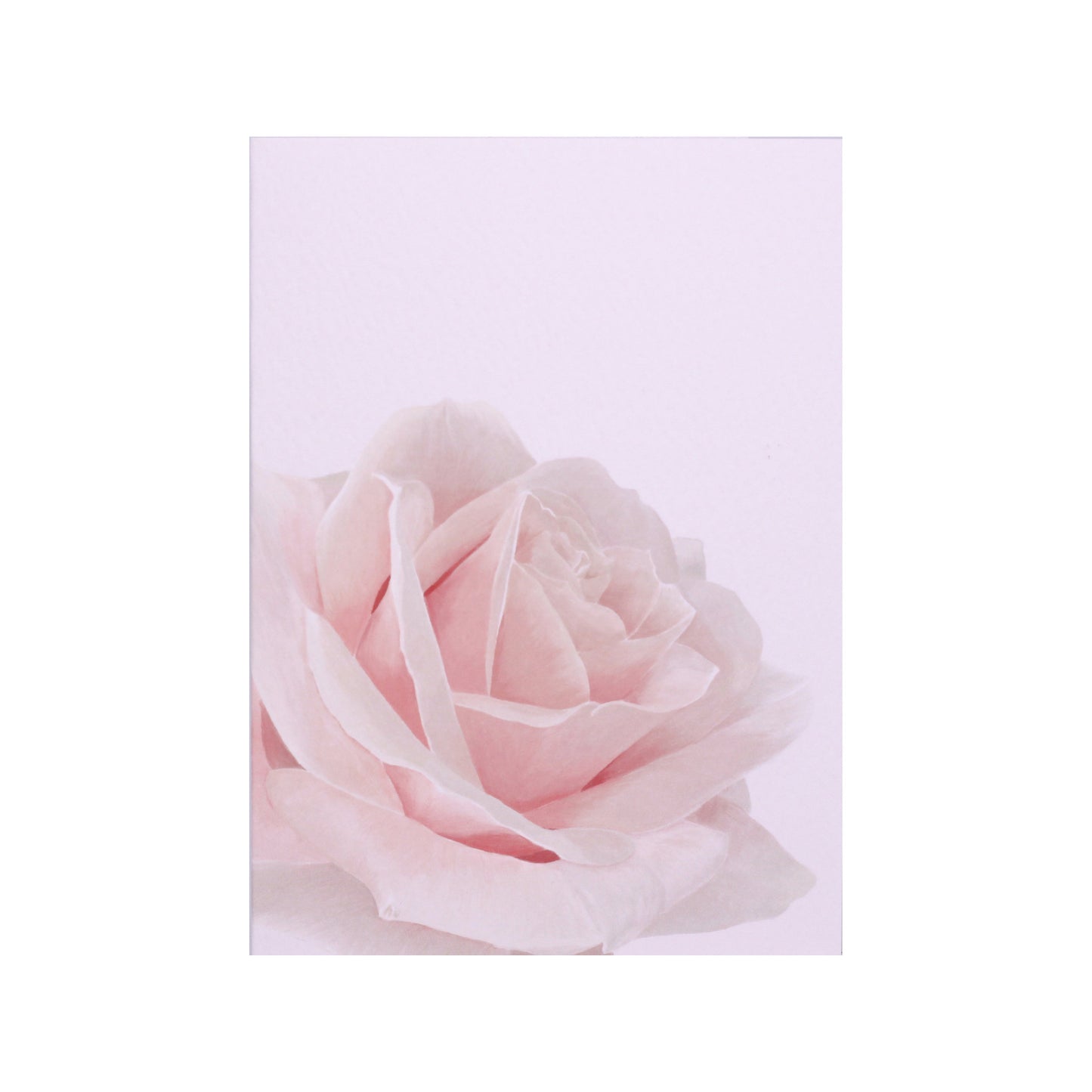 English Rose Card