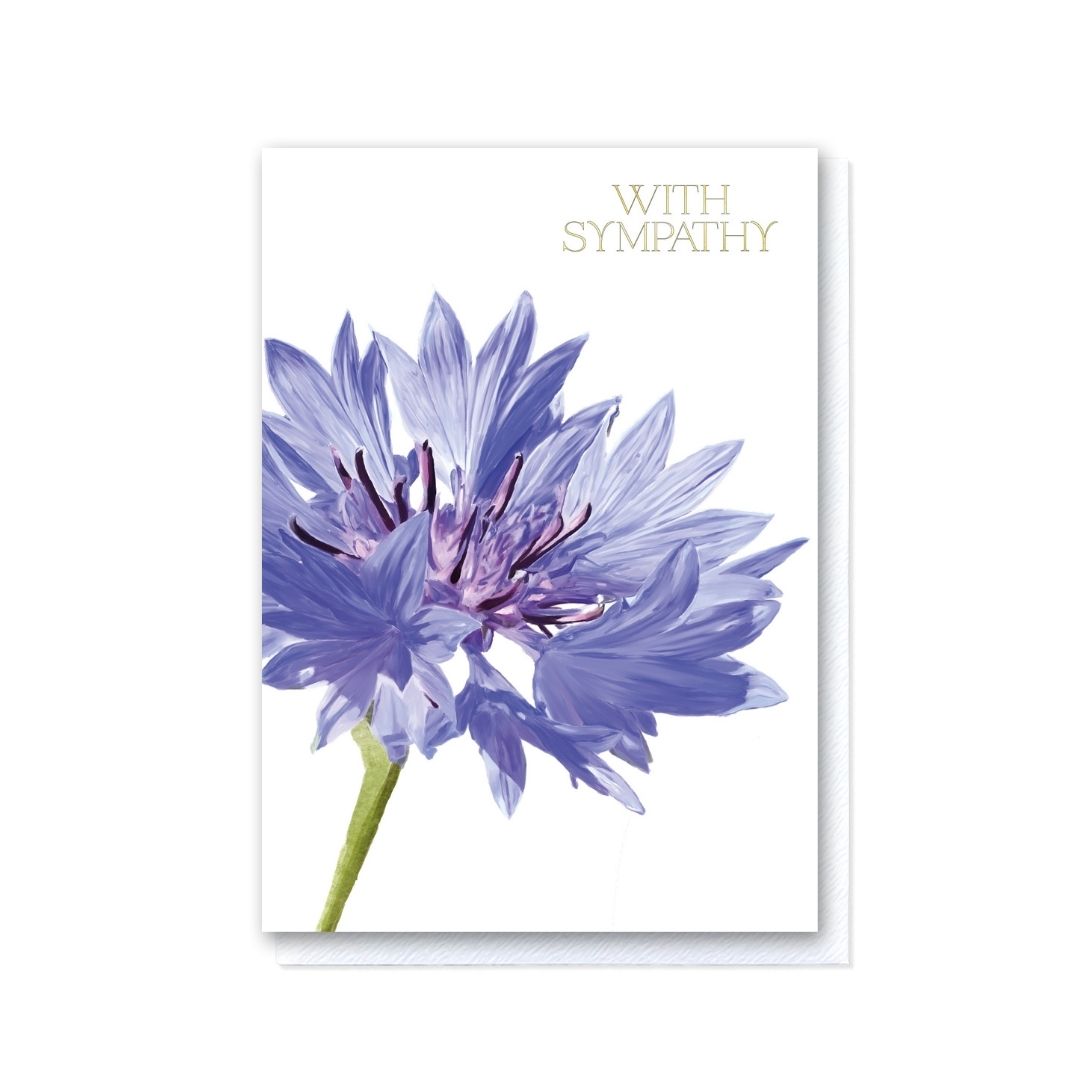 Cornflower With Sympathy