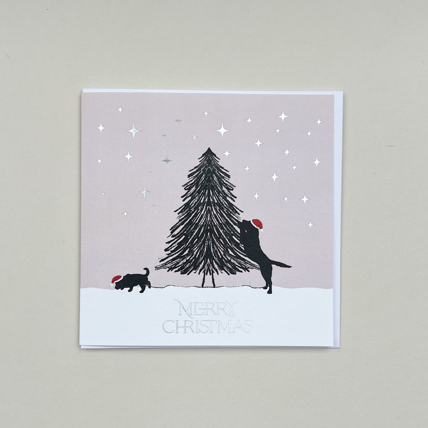 Black Labs in a Winter Wonderland