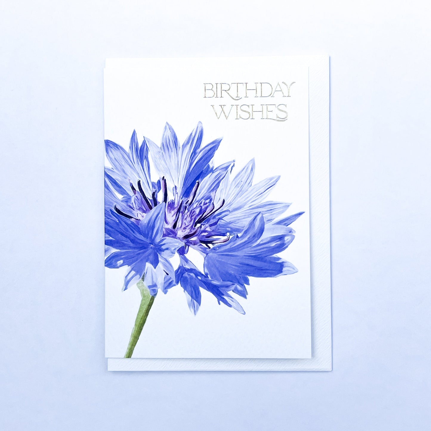 Cornflower Birthday Wishes