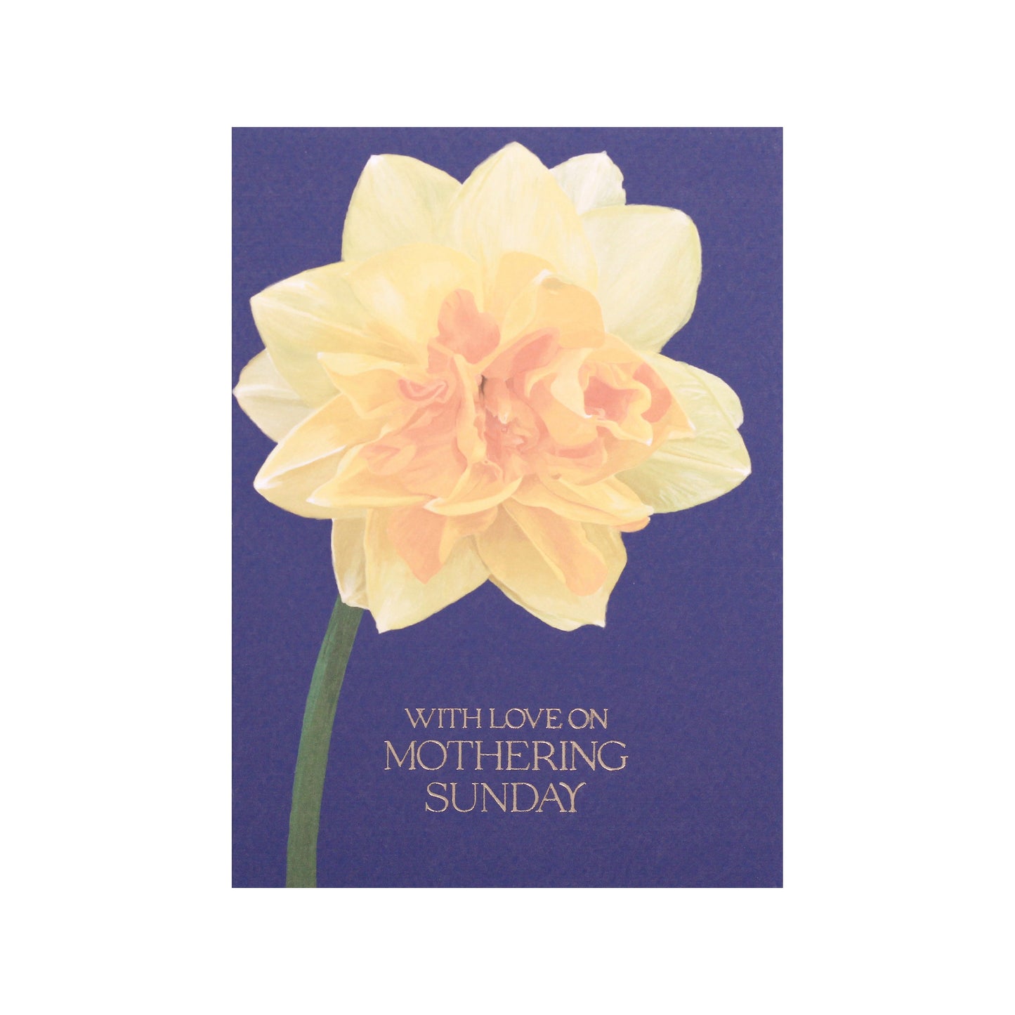 Daffodil With Love on Mothering Sunday Card