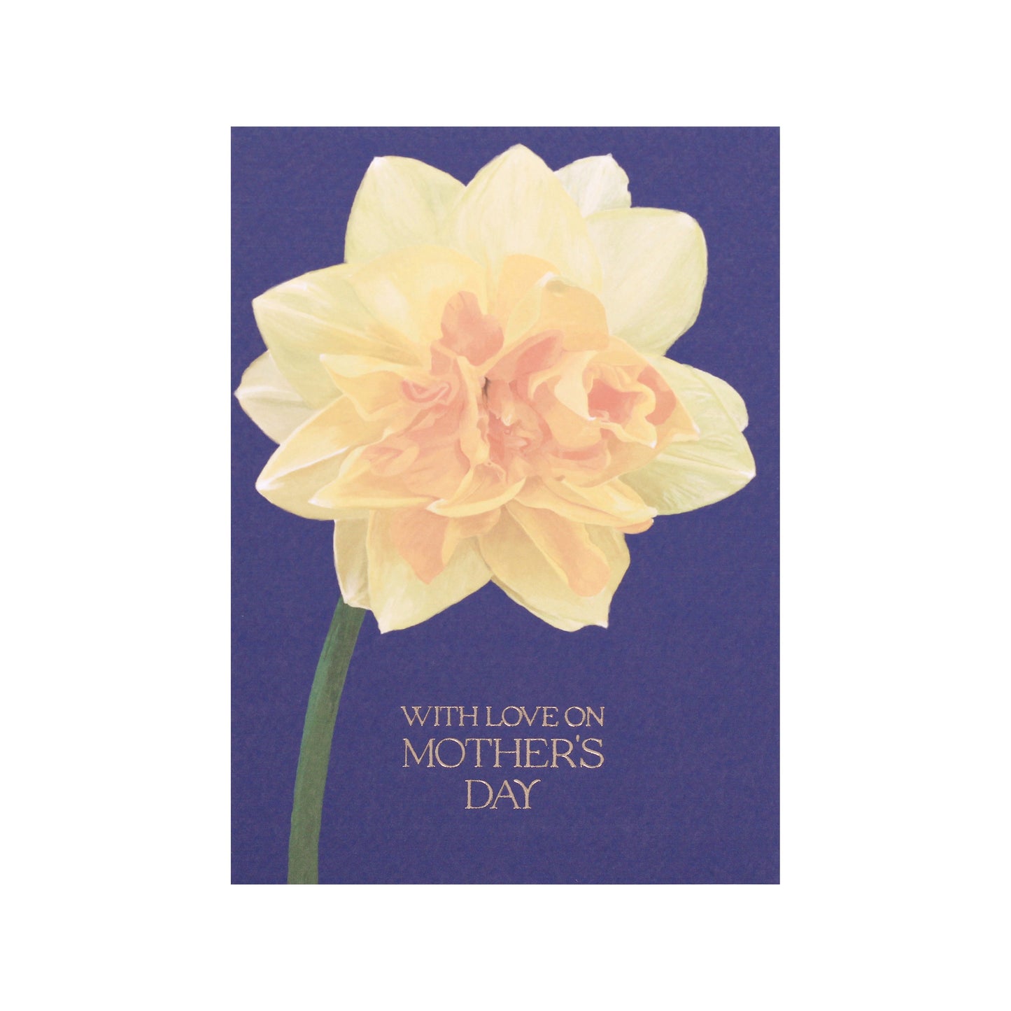 Daffodil With Love on Mother's Day Card