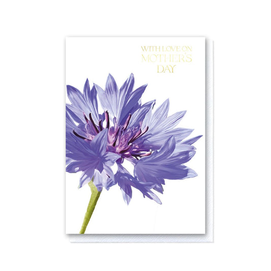 Cornflower Mothers Day