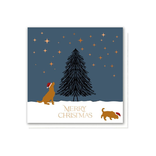 Fox Red Labs in a Winter Wonderland